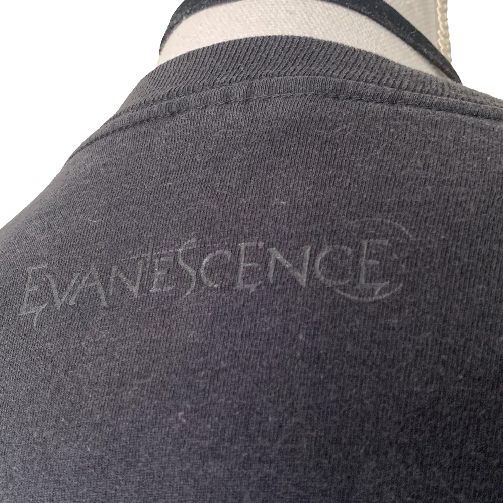 Evanescence3