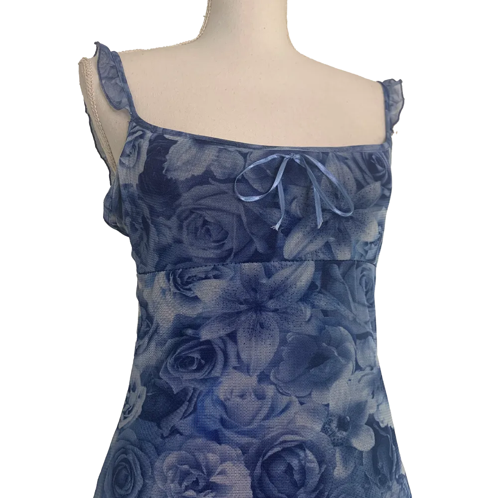 Fleurbleu2