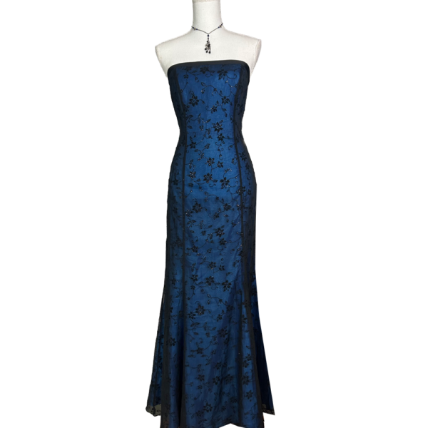 Bustierbleu2