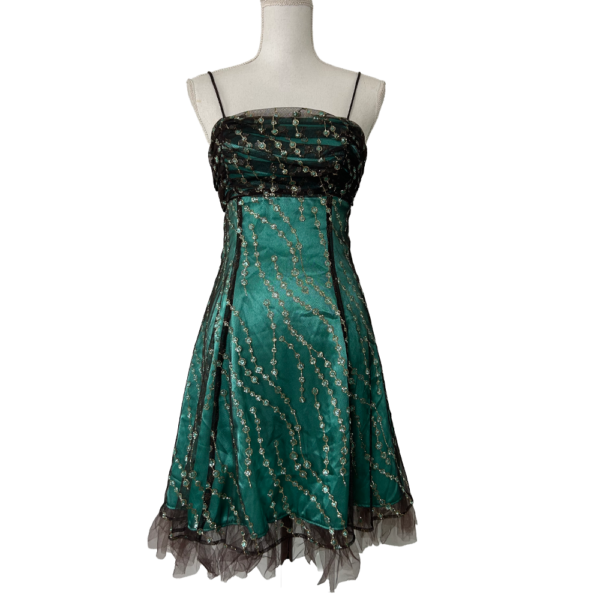 Turquoisecourte1'